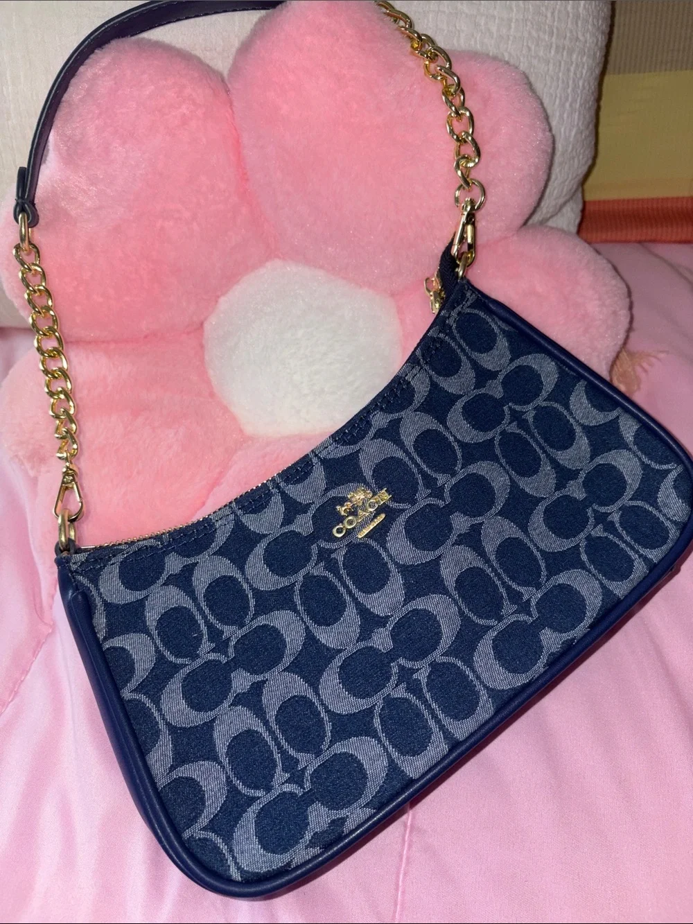 Coach Navy Signature shoulder bag
